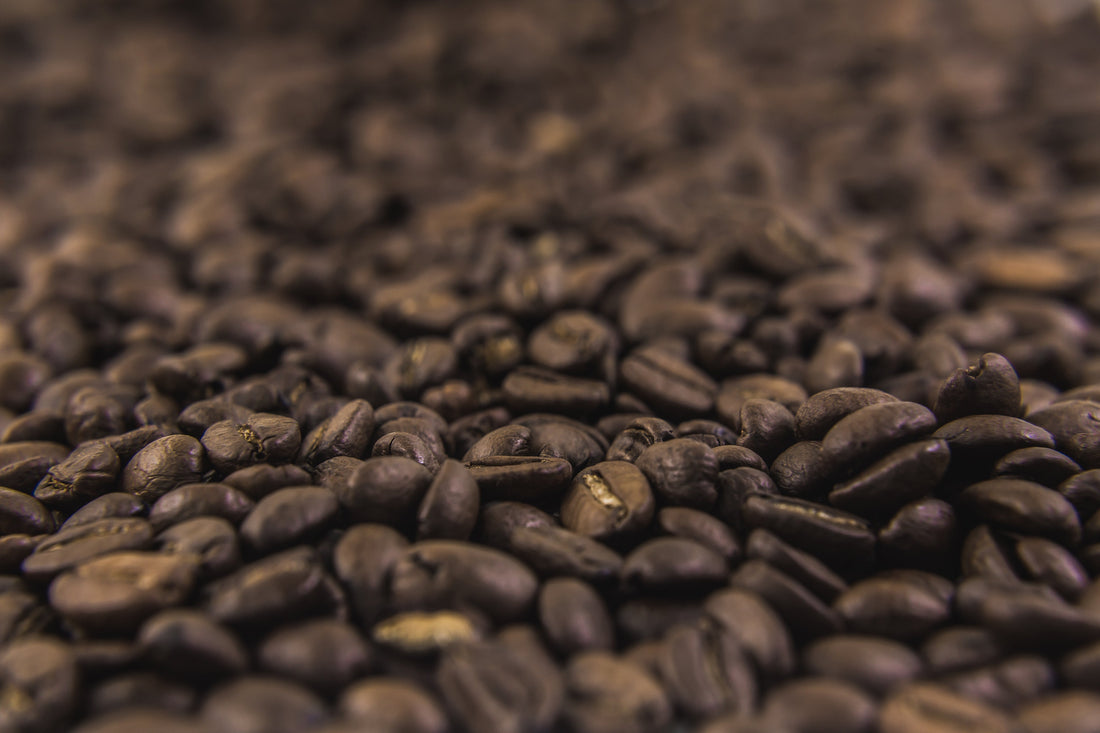New Orleans Coffee History: How the Crescent City Became America's Coffee Capital