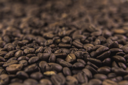 New Orleans Coffee History: How the Crescent City Became America's Coffee Capital